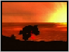 DKCR_Sunset.png