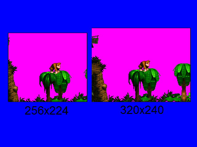 DKC 256x224 Verses 320x240.PNG