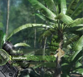 crysis-bananas.jpg