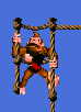 dk-up-two-ropes-with-feet-moving.gif