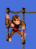 dk-down-two-ropes-with-feet-moving.gif