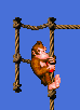 dk-one-rope-to-two.gif