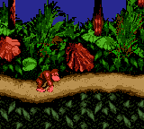 Donkey Kong Country (US).png