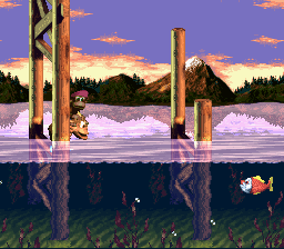 dkc3_watergates.png