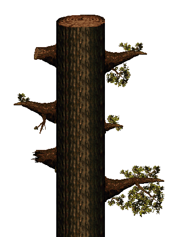 cut tree with branches.png