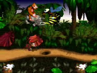 DKC Hack 017_0001.jpg