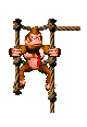 dk-up-two-ropes-fixed-feet.gif