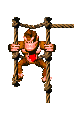 dk-down-two-ropes-head-fixed.gif