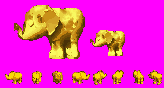 golden ellie.png