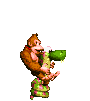 dk rattly test 2.png