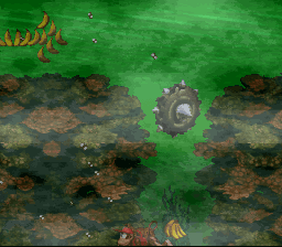 dkc_poison-pond-camera-bug.png