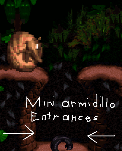 Donkey Kong Country 4 bossfight.PNG