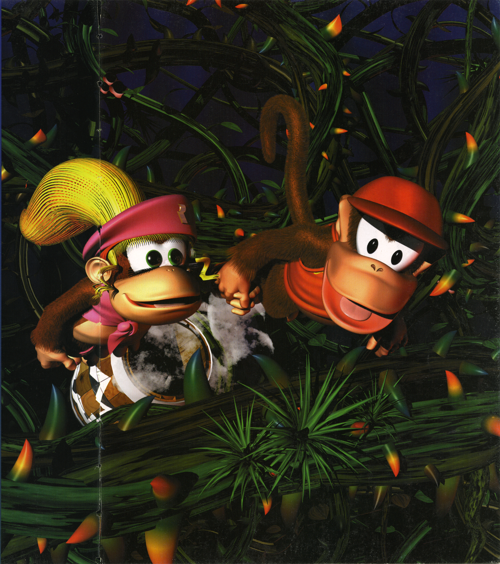 Donkey Kong Country 2. Home. 