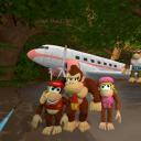 The Kongs