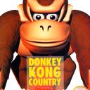Donkey Kong Country Player's Guide