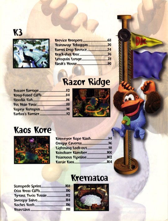 DKC 3 - 004