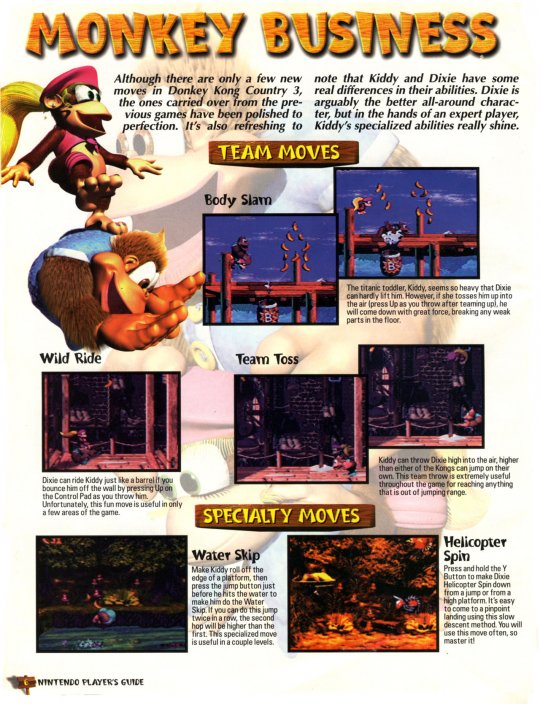 DKC 3 - 007