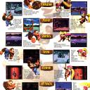 DKC 3 - 008