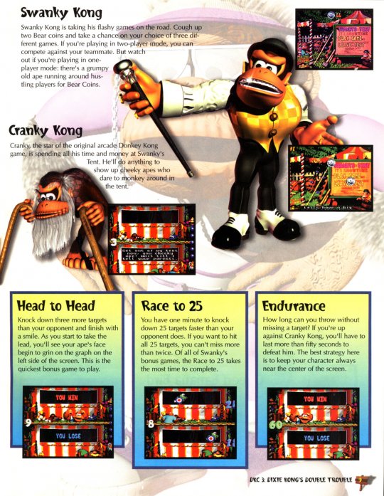 DKC 3 - 010