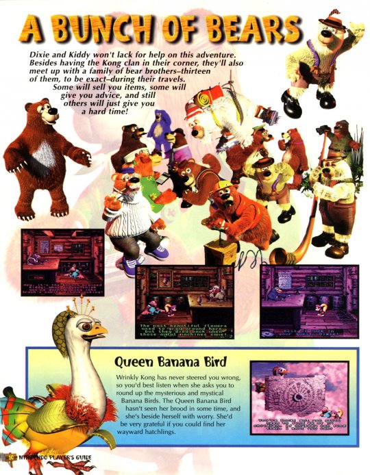 DKC 3 - 011