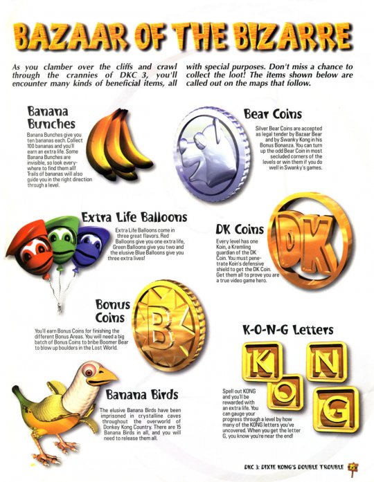 DKC 3 - 016