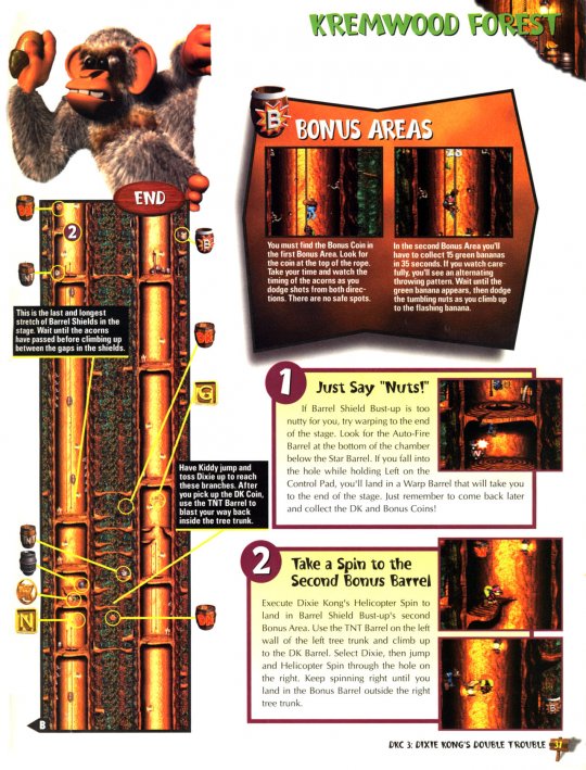 DKC 3 - 032