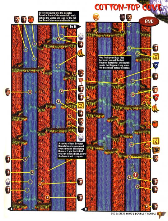 DKC 3 - 046