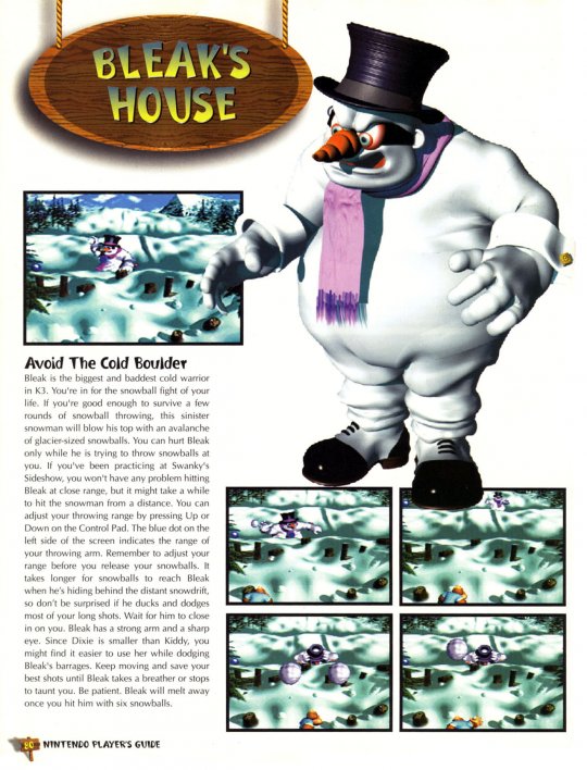 DKC 3 - 081