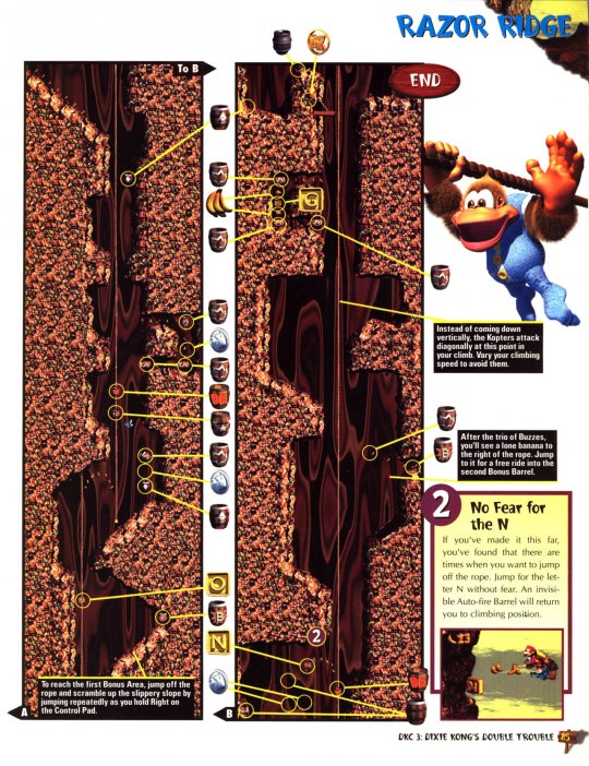 DKC 3 - 086
