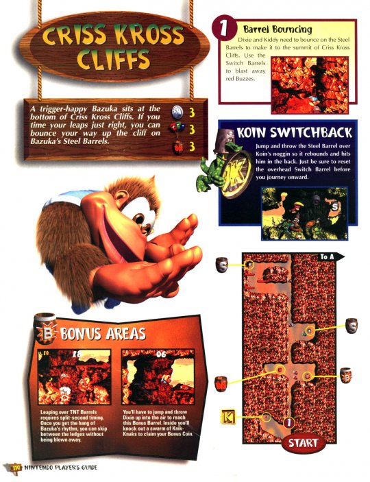 DKC 3 - 111