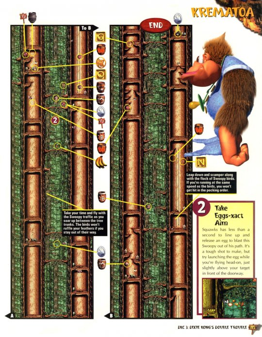 DKC 3 - 116