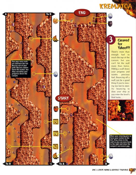 DKC 3 - 118