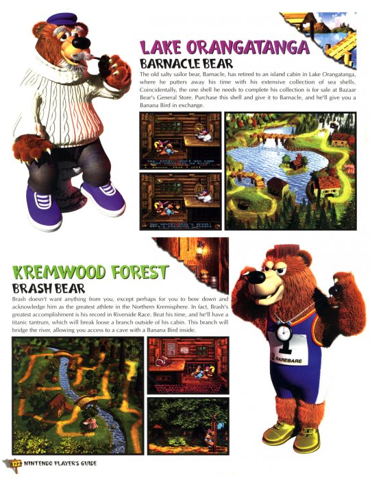 DKC 3 - 123