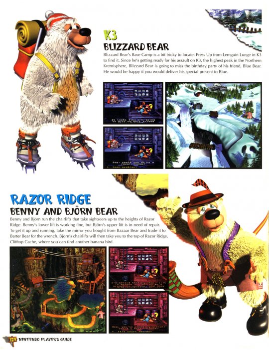 DKC 3 - 125